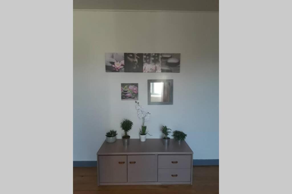 Appartement chaleureux de 82M2 proche de Vulcania Pontaumur Extérieur photo