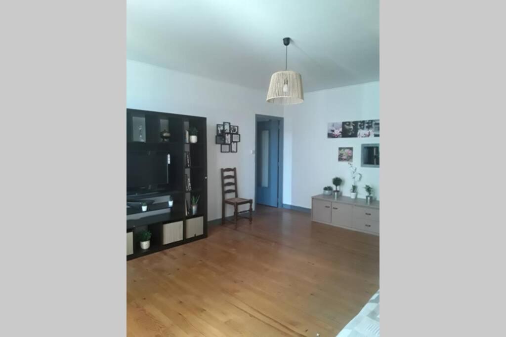 Appartement chaleureux de 82M2 proche de Vulcania Pontaumur Extérieur photo